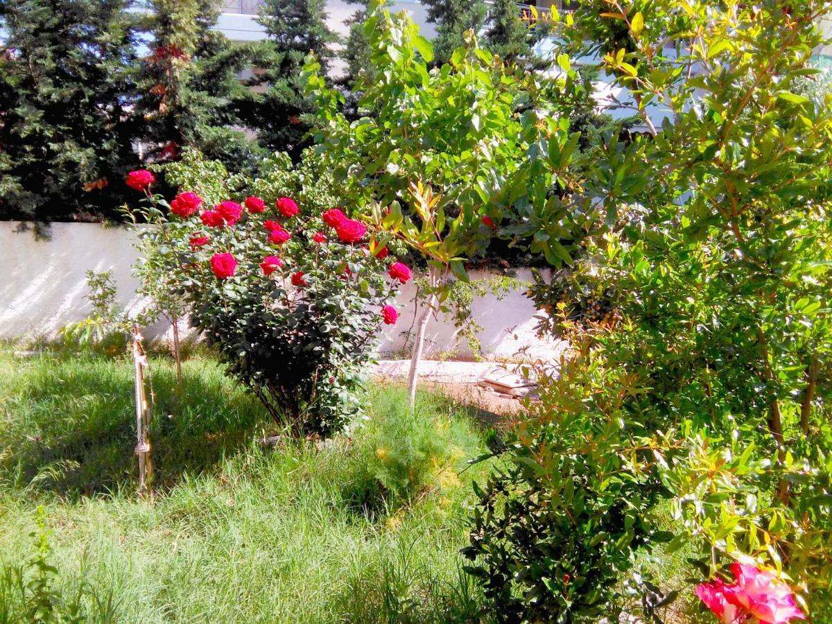 S.D Apartment 2 Lávrion Dış mekan fotoğraf